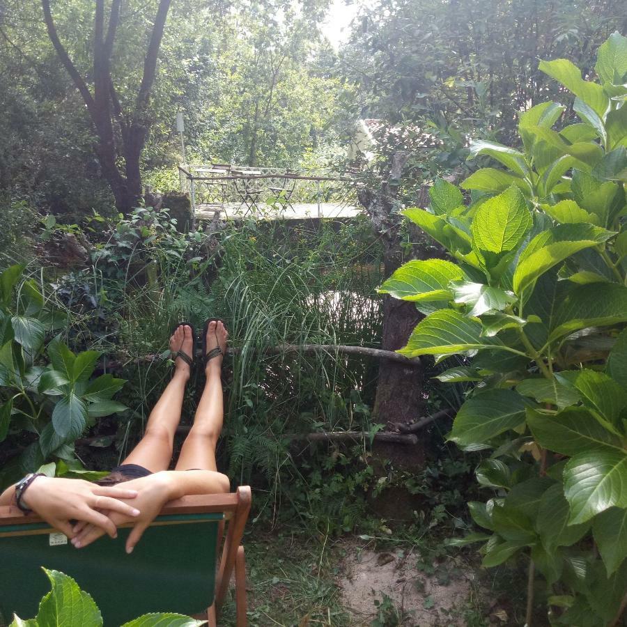 Watermill Moinho Garcia Hostel Pinheiro da Bemposta Luaran gambar