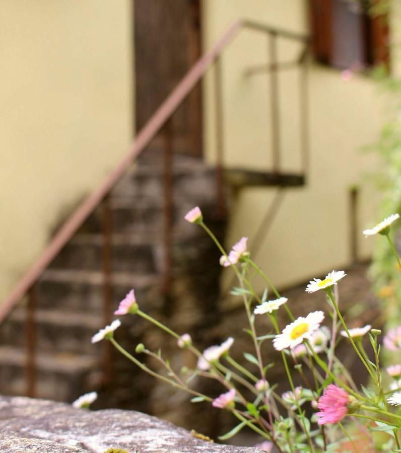 Watermill Moinho Garcia Hostel Pinheiro da Bemposta Luaran gambar